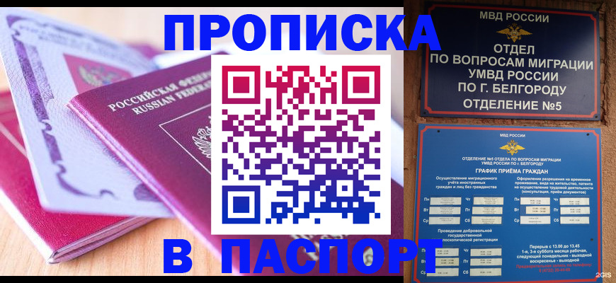 временная регистрация законно в Павловске